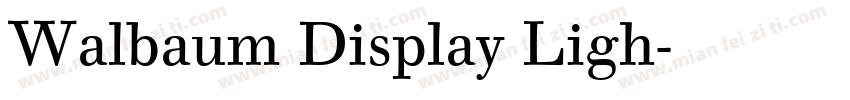Walbaum Display Ligh字体转换